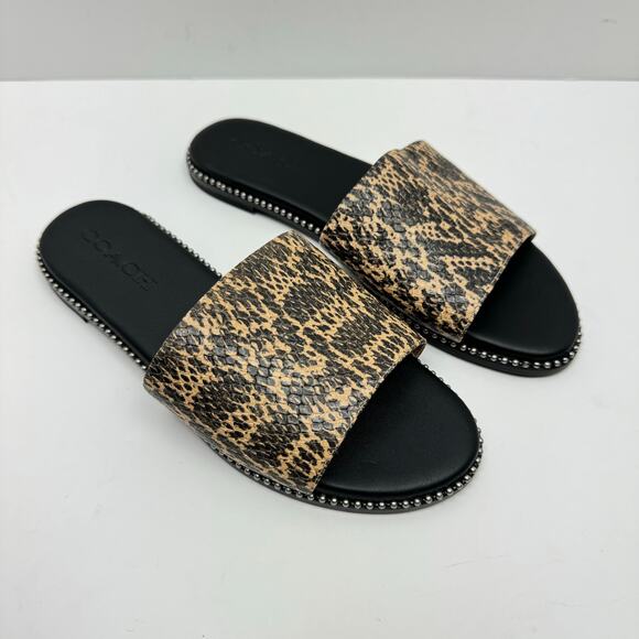 Coach | Women's Hayden Reptile Print Beadchain Flat Slide Sandals - Picture 6 of 10